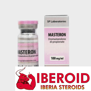 SP MASTERON