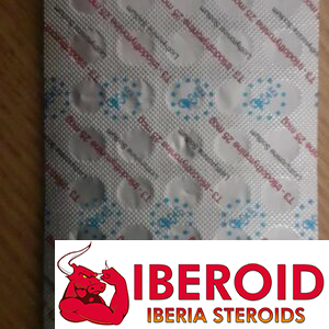 T3 - 100 COMPRIMIDOS - 25 MCG/EPF/EURO PRIME