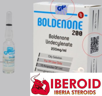 bolde