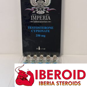 TESTOSTERONE CYPIONATE 250mg